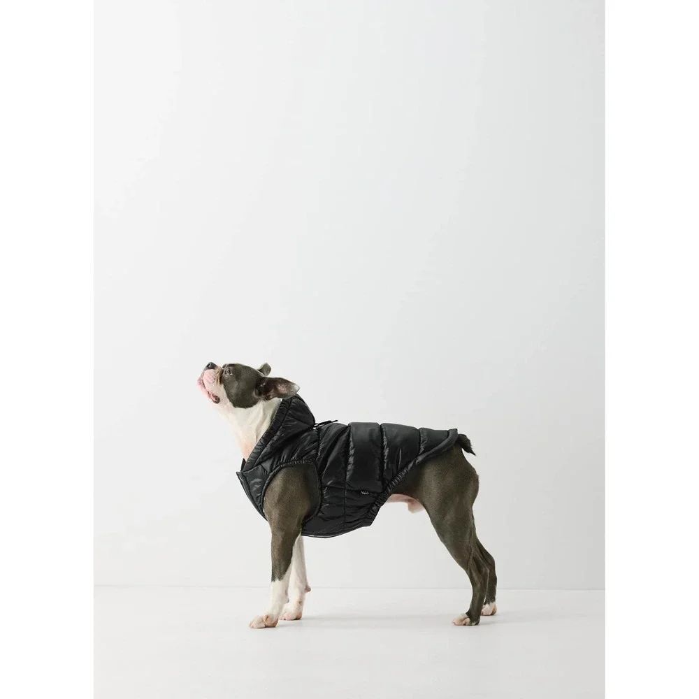 Aritzia Super Ruff Puff Dog Jacket Size Small Black Primaloft NEW
